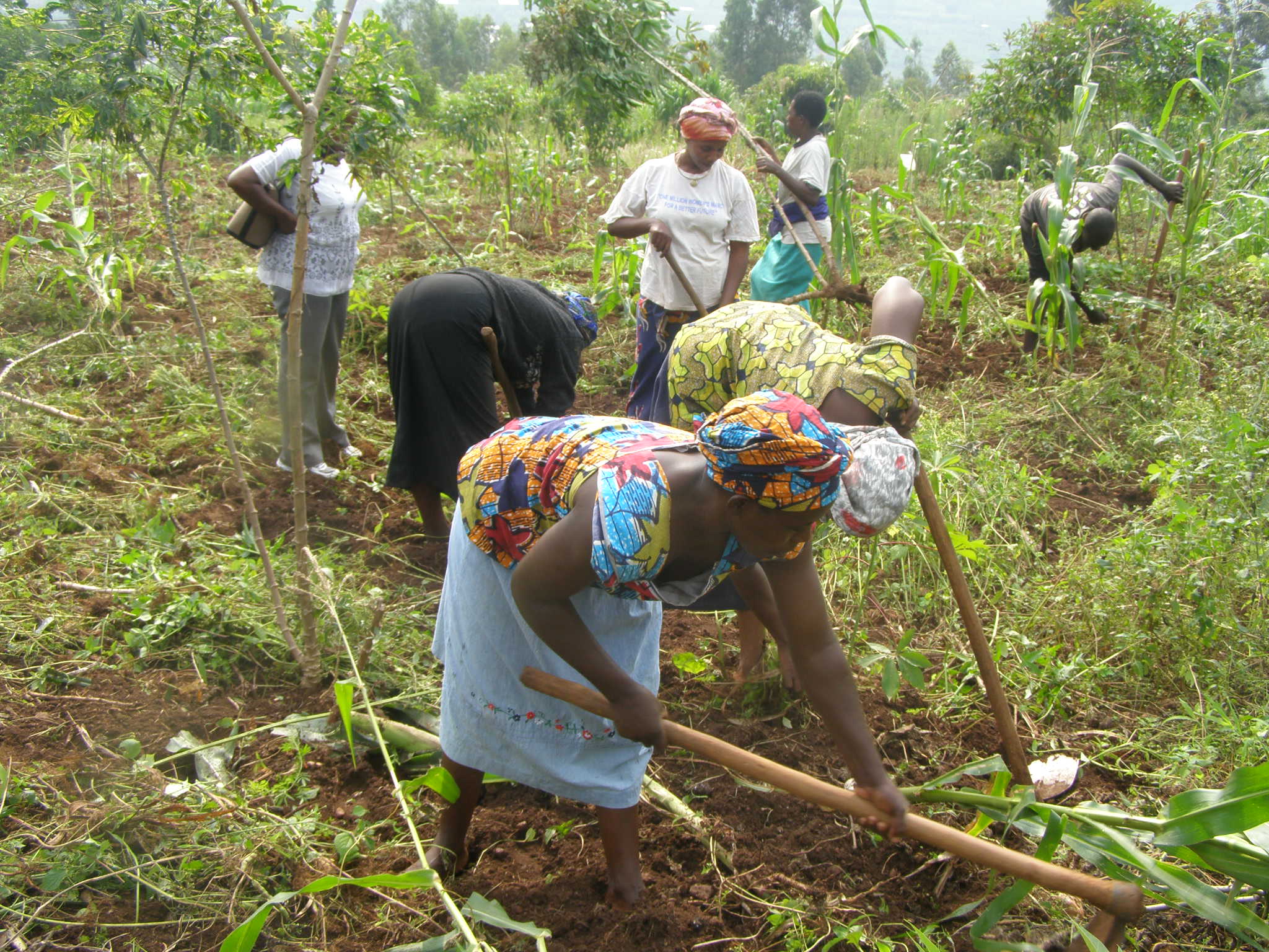 New Destiny women farming - African Road